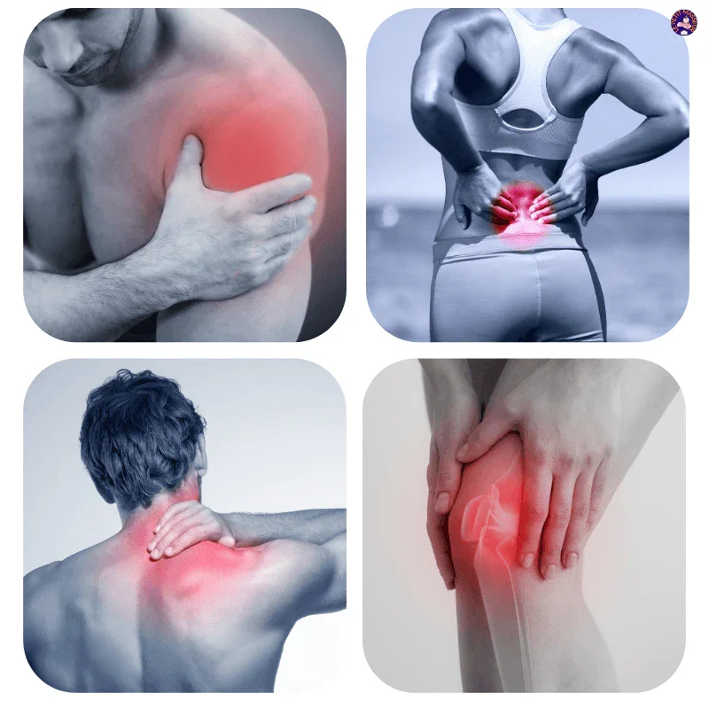 Zones musculaires à masser avec un pistolet de massage
